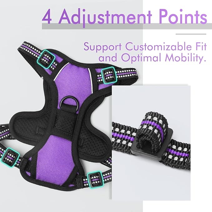 rabbitgoo Dog Harness 2 Leash
