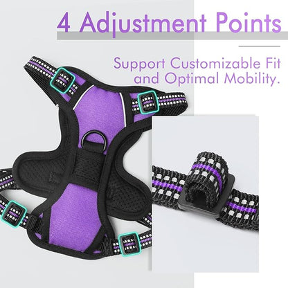 rabbitgoo Dog Harness 2 Leash