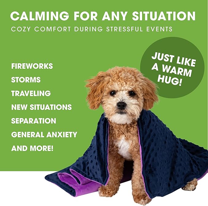 BARMY Weighted Blanket for Dogs with Washable Cover (3 Sizes) Thunder Blankets for Dogs