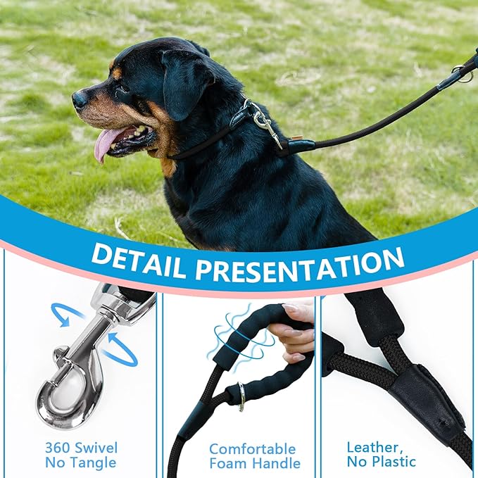 Dog Leash ((1/2") - 2FT, Black)