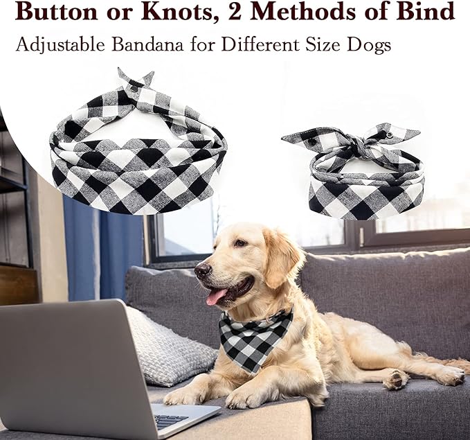 Birthday Plaid Dog Bandana with Button