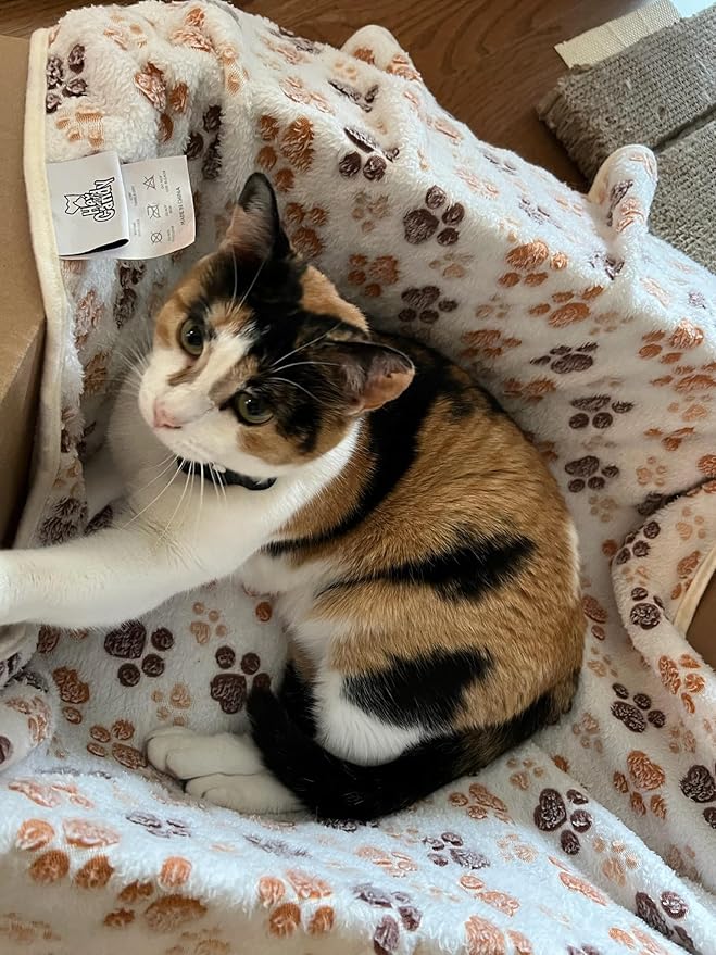 Pet Blankets The Value Pack: 3 Cozy Blankets for All Indoor Pets