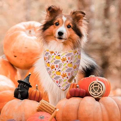 Fall Dog Bandanas 2 Pack