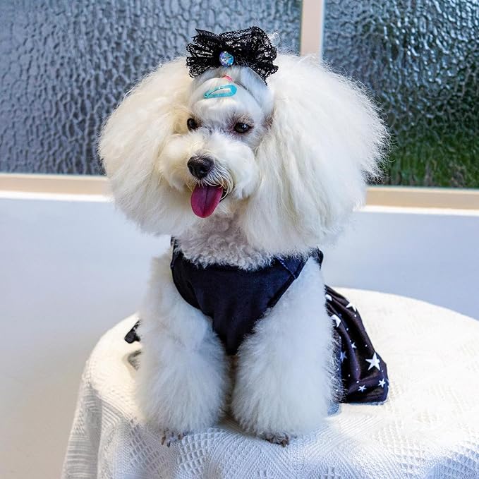 CuteBone Dog Dresses Velvet Holiday Small Dogs Clothes CVA23S-D