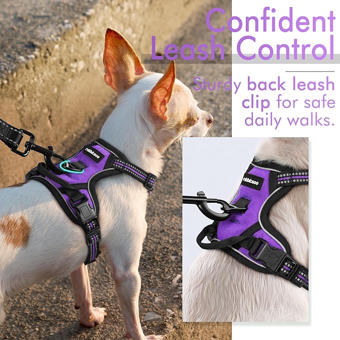 rabbitgoo Dog Harness 2 Leash
