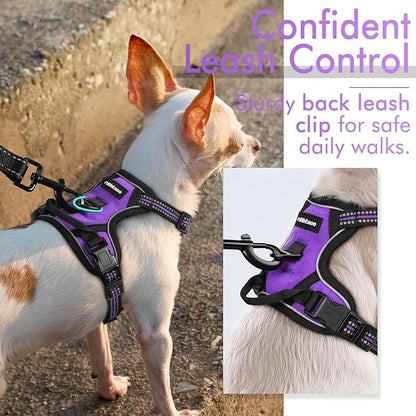 rabbitgoo Dog Harness 2 Leash