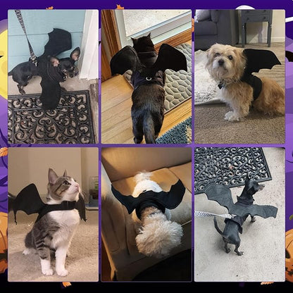 BWOGUE Pet Bat Wings Costume for Cat & Dog Pet Apparel Clothes for Halloween Party Large