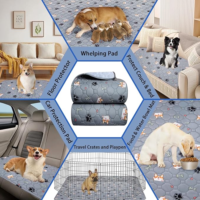 Washable Pee Pads for Dogs 2Pack 41''x41''