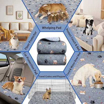 Washable Pee Pads for Dogs 2Pack 41''x41''