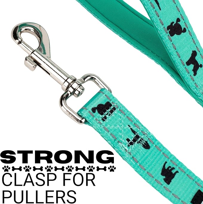 EcoBark Dog Leash - Soft & Reflective Comfort Training Leashes with Padded Handle - Strong Durable Heavy Duty - Training and Pulling for Small, Medium or Large Dogs (Turquoise)