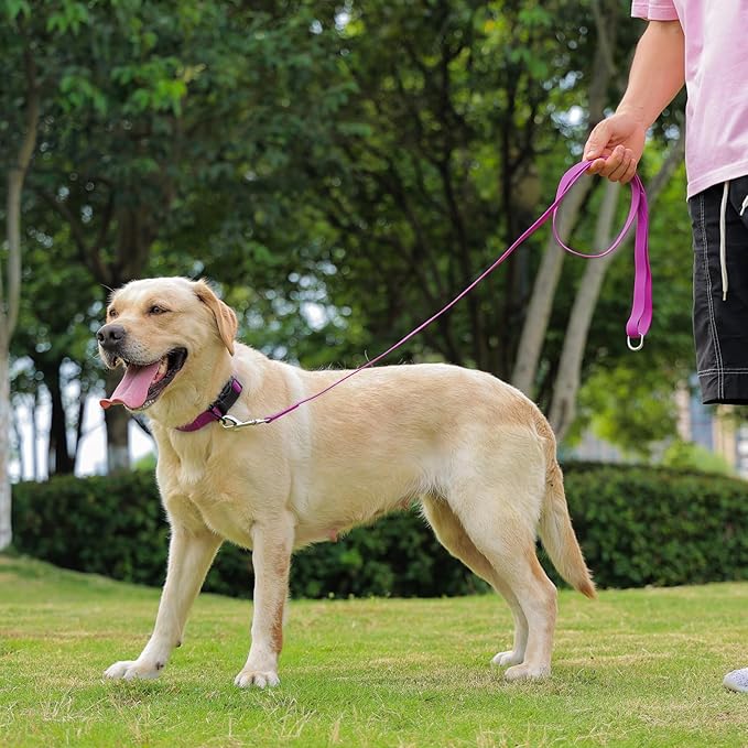 Waterproof Dog Collar 11.8-18.5 inch)