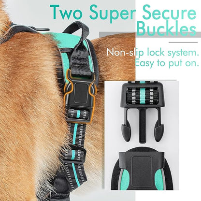 rabbitgoo Dog Harness, No-Pull Pet Harness with 2 Leash Clips, Adjustable Soft Padded Dog Vest, Reflective No-Choke Pet Oxford Vest with Easy Control Handle for Large Dogs, Turquoise, XL