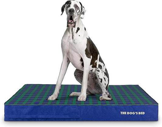 The Dog’s Bed Orthopedic Memory Foam Dog Bed 54x36 Pain