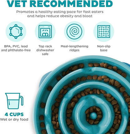 Outward Hound Fun Feeder Slo Bowl, Slow Feeder Dog Bowl, Large/Regular, Turquoise