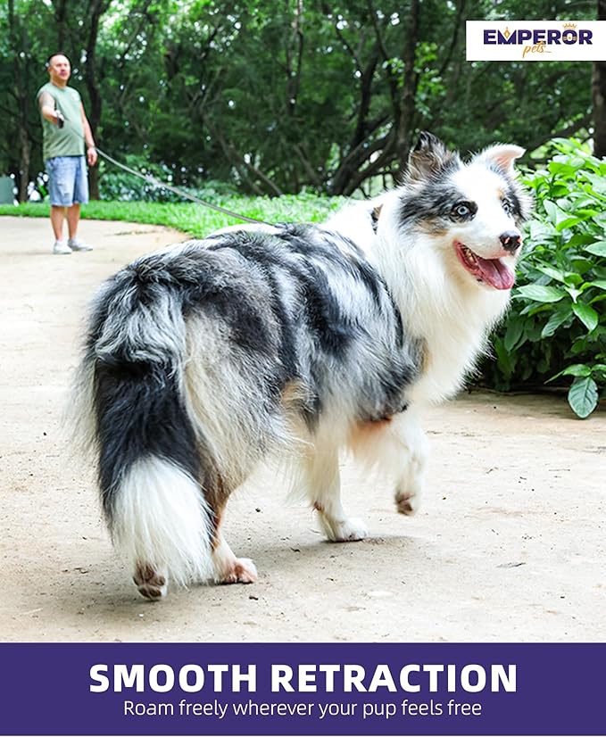 Emperor Pets 16 Feet Retractable Dog Leash Large Dogs 110lb, Large 26 ft, -GY16