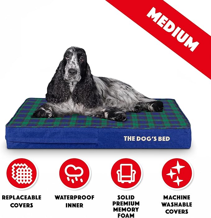 The Dog’s Bed Orthopedic Memory Foam Dog Bed 34x22, Pain