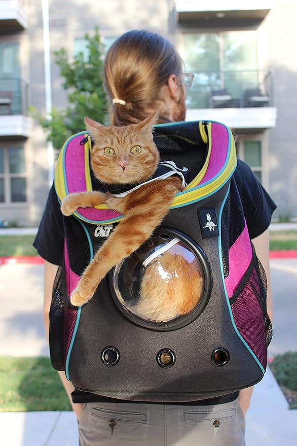 Fat Cat Backpack Carrier - Airline Approved Cat Carrier with Space Capsule Bubble for for Small Cats, Kitten - Premium Stray Cat Carrier Backpack for Outdoor, Travel, Hiking, Pet Supplies