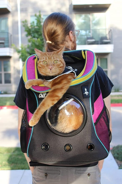 Fat Cat Backpack Carrier - Airline Approved Cat Carrier with Space Capsule Bubble for for Small Cats, Kitten - Premium Stray Cat Carrier Backpack for Outdoor, Travel, Hiking, Pet Supplies