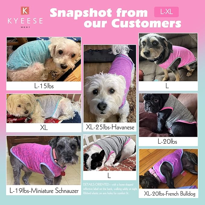 KYEESE 2 Pack Dog Shirts Quick Dry Soft Stretchy Sun Protection Dog T-Shirts with Reflective Label Tank Top Sleeveless Vest Dog Clothes for Small Medium Dogs
