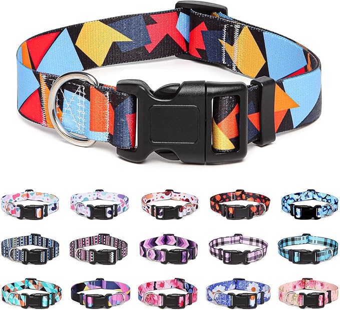 Adjustable Dog Collar with Patterns