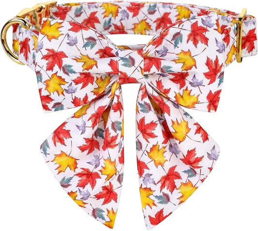 Lionet Paws Dog Collar with Bowtie 8-12in