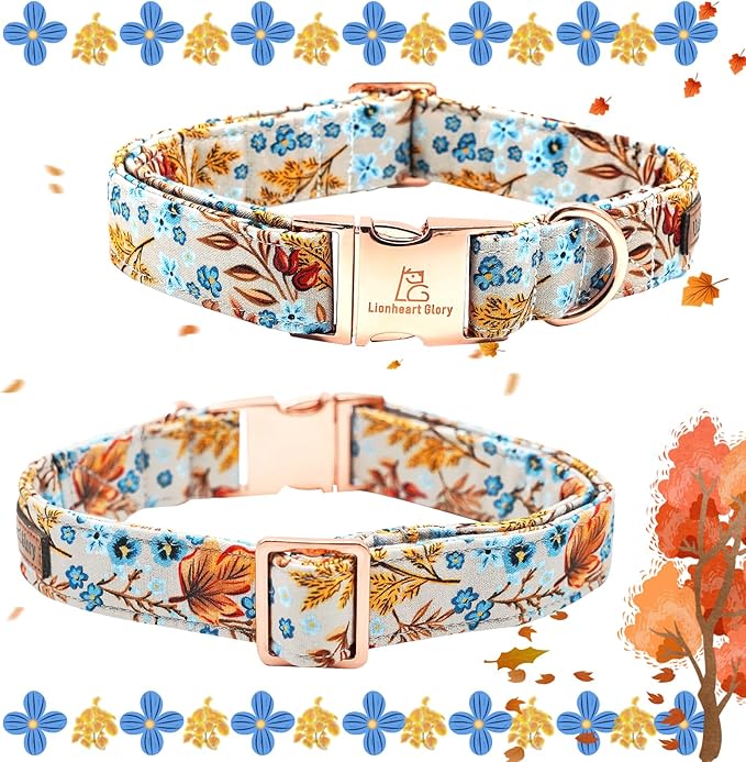 Lionheart glory Premium Dog Collars Fall Dog Collar