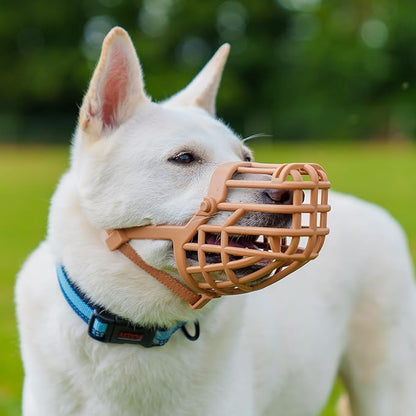 Baskerville Classic Basket Muzzle - Dog can Pant and Drink, Prevents Biting and Food Waste Scavenging, Strong TPR, Ideal for Longer Nosed Dogs, Breathable Dog Training Muzzle for Medium Dogs (Size 5)