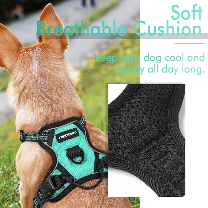 rabbitgoo Dog Harness, No-Pull Pet Harness with 2 Leash Clips, Adjustable Soft Padded Dog Vest, Reflective No-Choke Pet Oxford Vest with Easy Control Handle for Small Dogs, Turquoise, XS