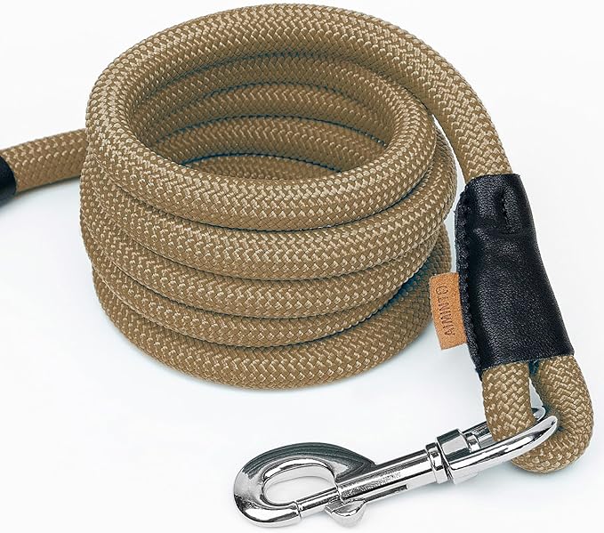 Dog Leash ((1/3") - 6FT, Khaki)