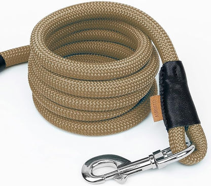 Dog Leash ((1/3") - 6FT, Khaki)