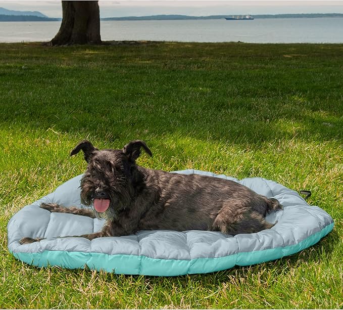 Furhaven Outdoor Travel Dog Bed for Small Dogs w/ Carry Bag