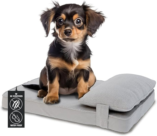 24"x 18" x 6" Washable Dog Bed with Square Pillow and Waterproof Cover, High Density Foam Scratch Proof Small Dog Bed with Orthopedic Support, Ultrasoft Breathable Pet Bed, Gray