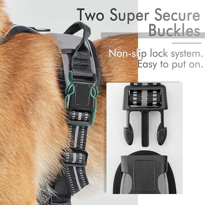 rabbitgoo Dog Harness 2 Leash