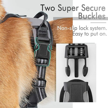 rabbitgoo Dog Harness 2 Leash