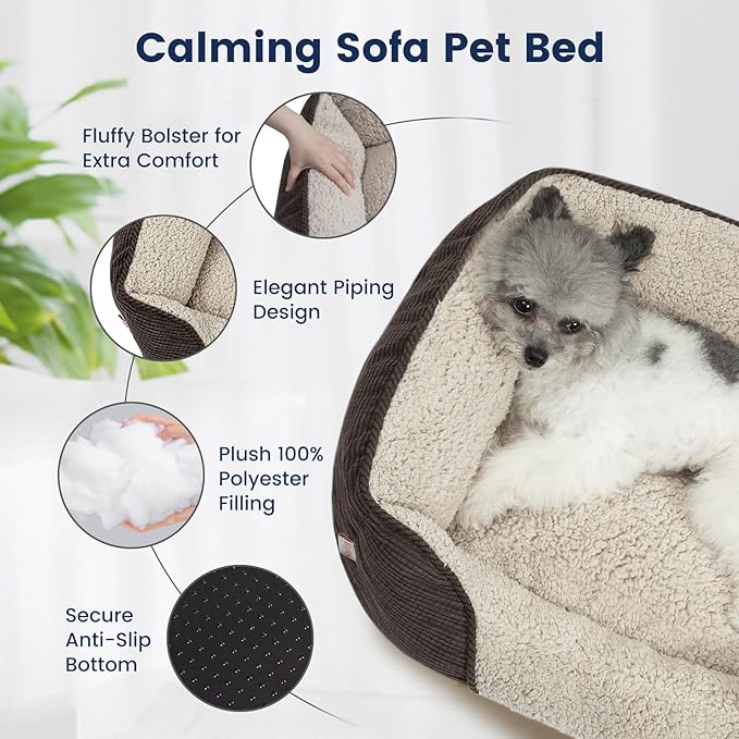 Miguel Washable Cat Beds for Indoor Cats with Removable Cushion 18 Inch