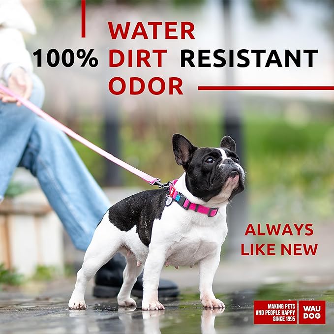 Waterproof Dog Collar