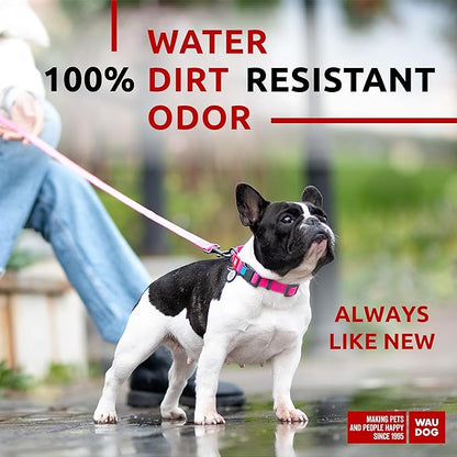 Waterproof Dog Collar