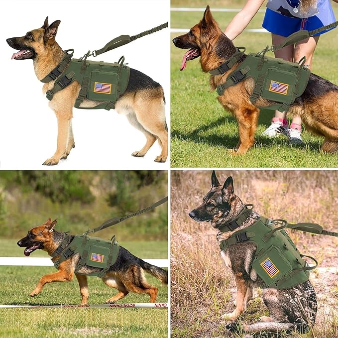 Forestpaw Tactical Dog Harness for Large Dogs,Tactical Dog Collar with Bungee Leash Set,No Pull Military Dog Harness for Dog Walking Training,Adjustable for Medium Large Dogs,Green S