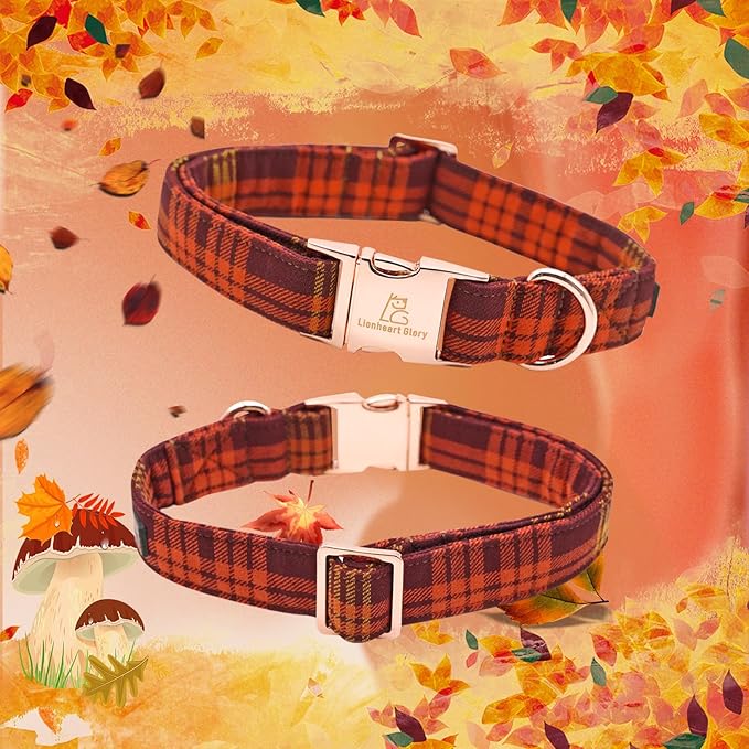 Lionheart glory Plaid Dog Collars Fall Halloween Dog