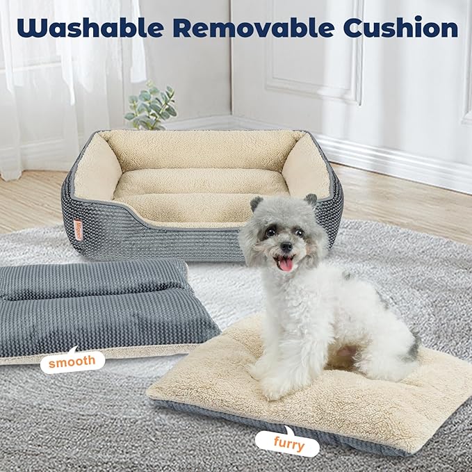 Miguel Dog Bed with Removable Cushion/Pillow for Medium Small Dogs 25 Inch