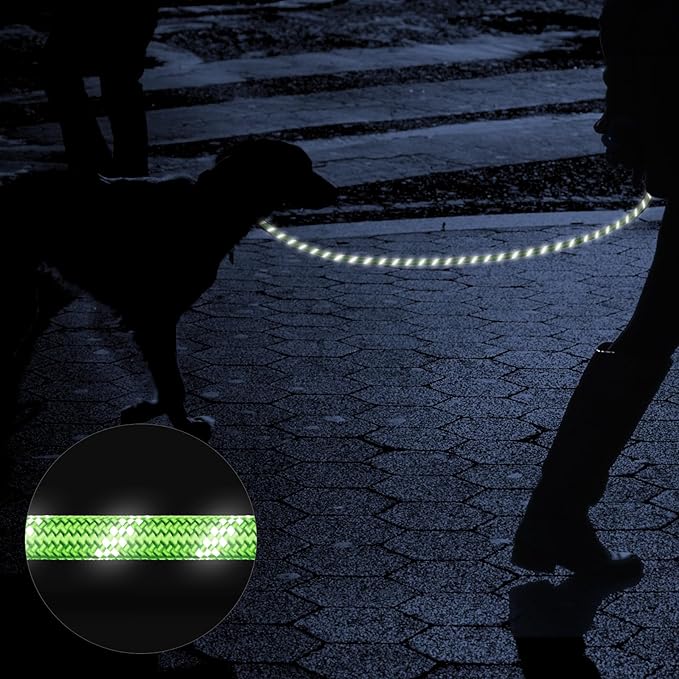 Heavy Duty Dog Leash for Large Medium Small Breed Dogs Handle,4/5/6 FT Holder,Green,1/2 inch