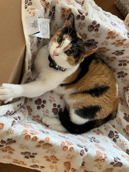 Pet Blankets Calico Beige Collection. Pet Blankets for Cats