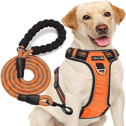 tobeDRI No Pull Dog Harness Adjustable Reflective Oxford Easy Control Medium Large Dog Harness with A Free Heavy Duty 5ft Dog Leash (M (Chest: 22"-26"), Orange Harness+Leash)