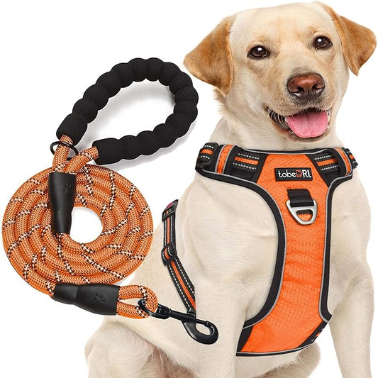 tobeDRI No Pull Dog Harness Adjustable Reflective Oxford Easy Control Medium Large Dog Harness with A Free Heavy Duty 5ft Dog Leash (L (Chest: 25.5"-31"), Orange Harness+Leash)