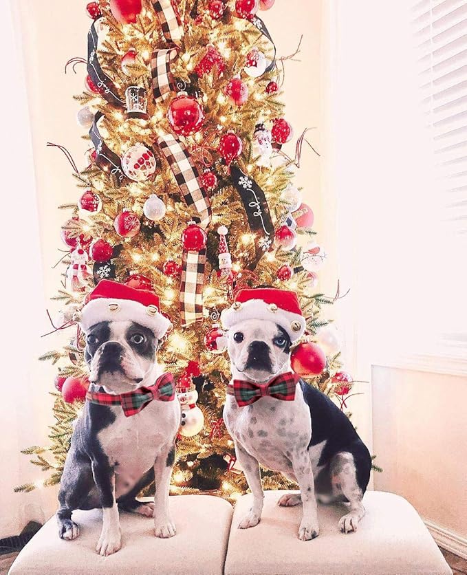 Elegant little tail Dog Collar with Bow