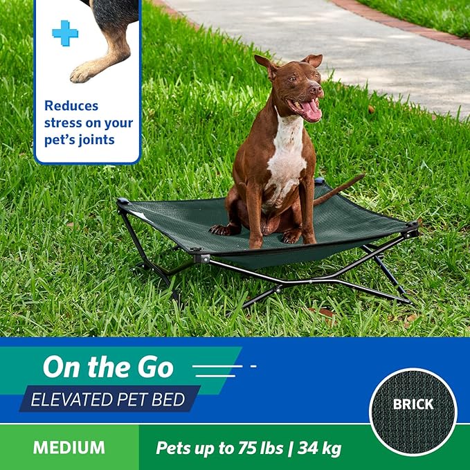 Coolaroo On The Go Cooling Elevated Dog Bed