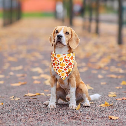 Fall Dog Bandanas - 2 Pack Halloween Thanksgiving Dog Bandana | Reversible Pumpkin and Leaf Pet Scarf for Boy & Girl | Premium Fabric | Holiday Bandana for Large and Extra Large Dogs (X-Large)