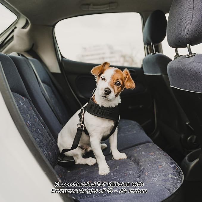 Pet Stairs 4-Step Design