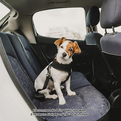 Pet Stairs 4-Step Design