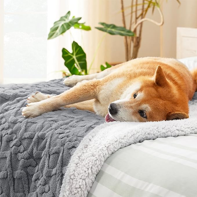 Bedsure Waterproof Dog Blankets for Large Dogs 40"x50", Grey